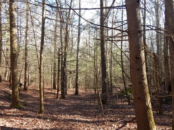 Bearpen Frk, Jamestown, TN 38556