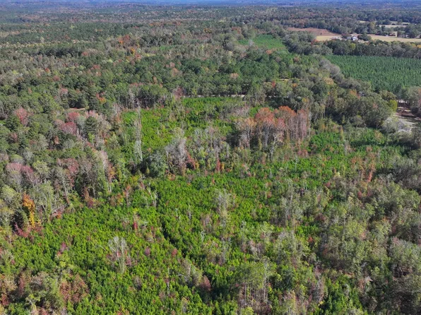 465 N Ann St, Eclectic, AL 36024