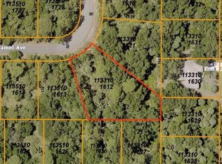 Camel Ave, North port, FL 34288