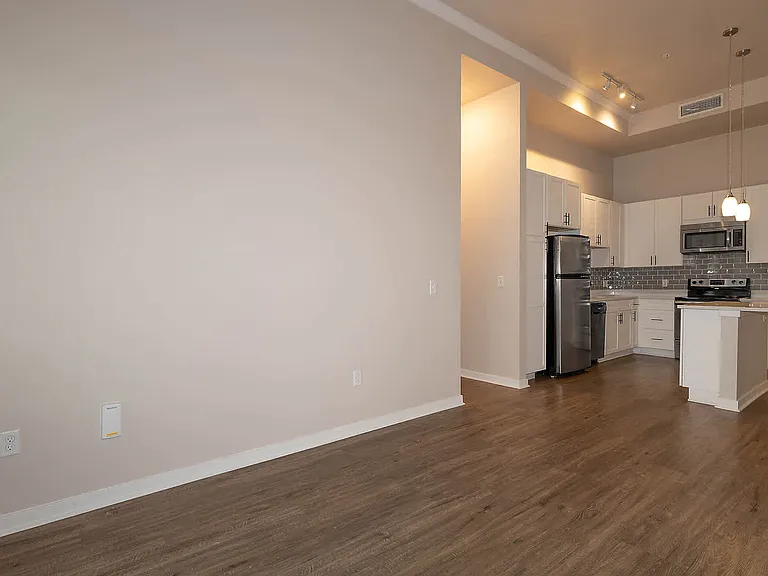 Living Area and Kitchen with Hard Surface Flooring