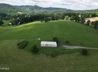 31196 Old Saltworks Rd, Meadowview, VA 24361