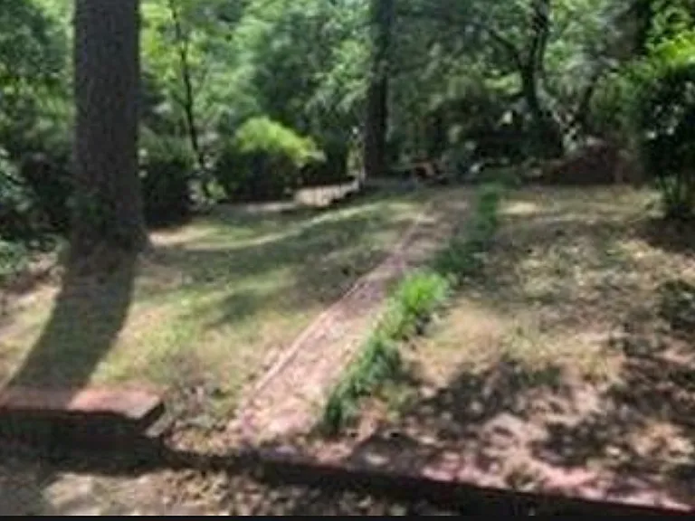 1004 Pine Hill Rd — Photo 26