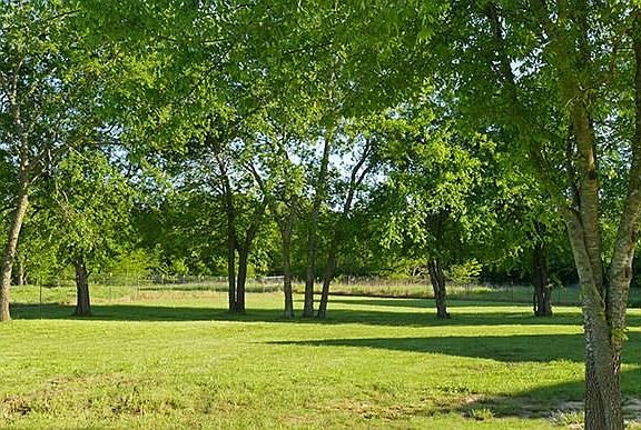 4th image of 5451 County Road 3208