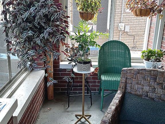 plants yay!