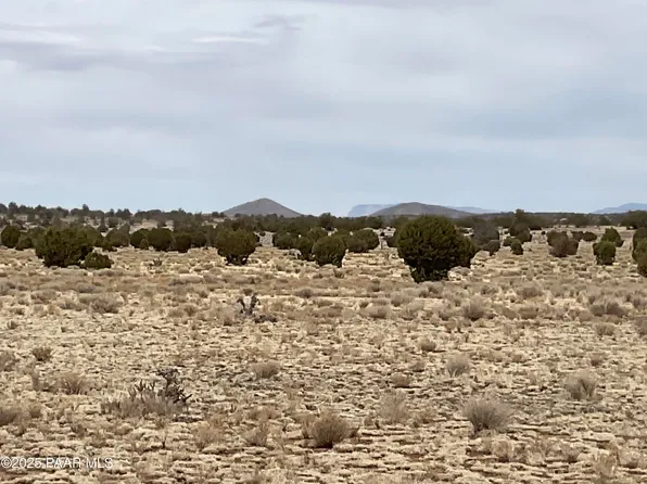 084A Ravens Rest Rd, Seligman, AZ 86337