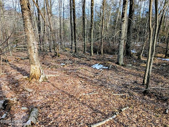 4th image of Goose Pond Rd