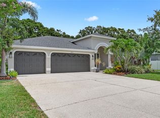 16511 Turnbury Oak Dr, Odessa, FL 33556