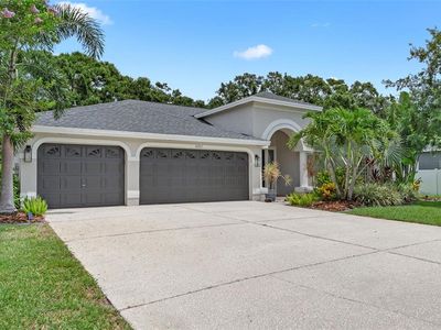 16511 Turnbury Oak Dr, Odessa, FL, 33556