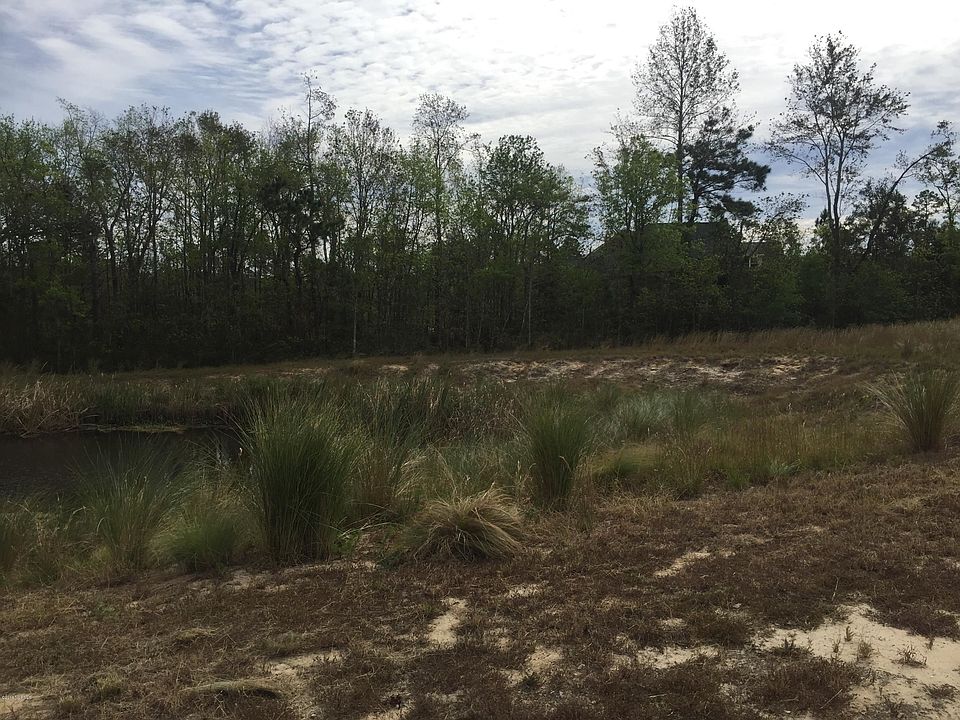 2nd image of 1308 Star Grass Way
