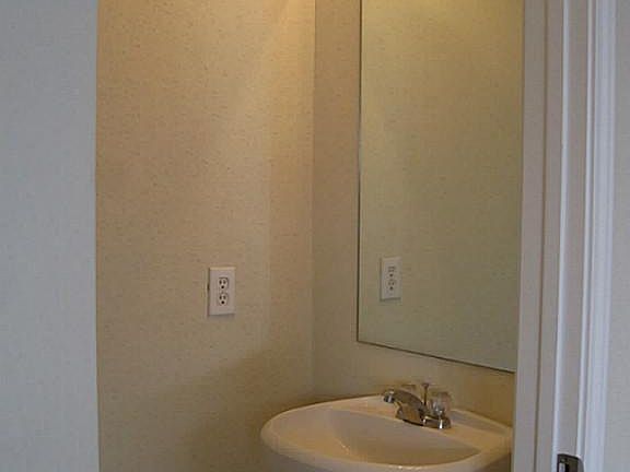 Downstairs 1/2 Bathroom