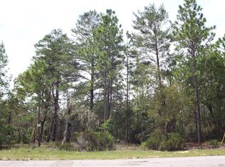10920 N Trigger Ter, Citrus Springs, FL 34433