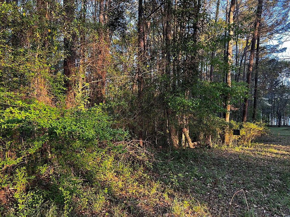 1st image of 203 View Pointe Ln