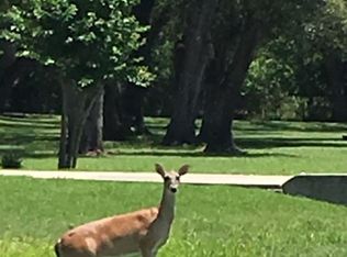 1126 Cheyenne Ridge Dr, Rosharon, TX 77583