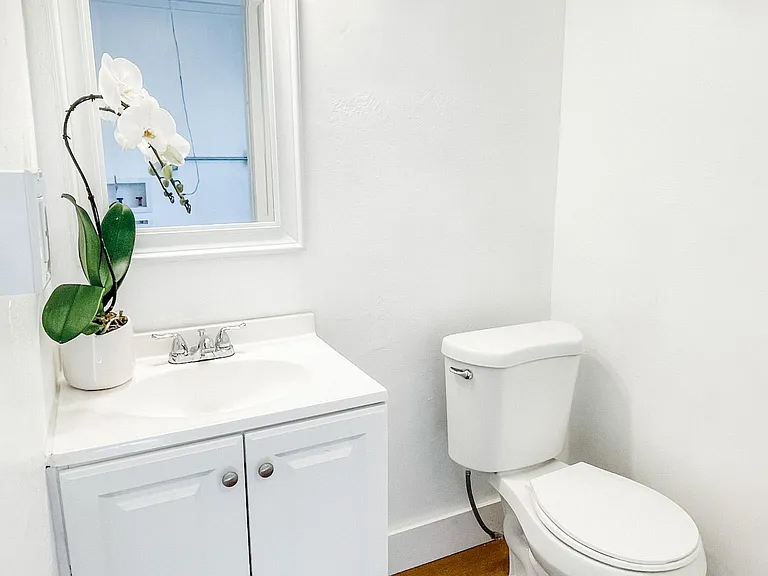 2918 W San Carlos St — Photo 6