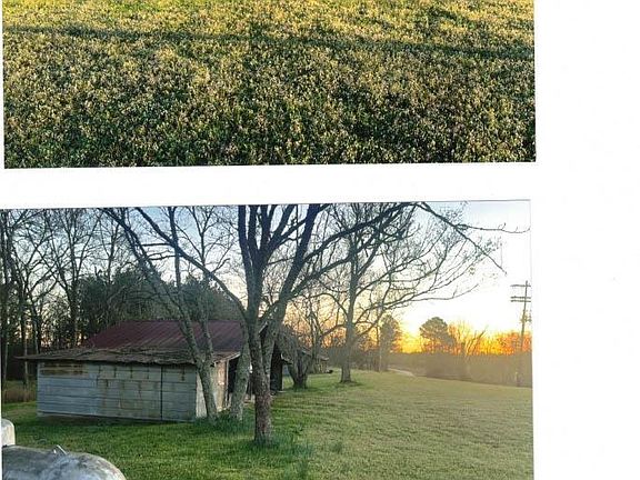 2nd image of 54 Wells Rd