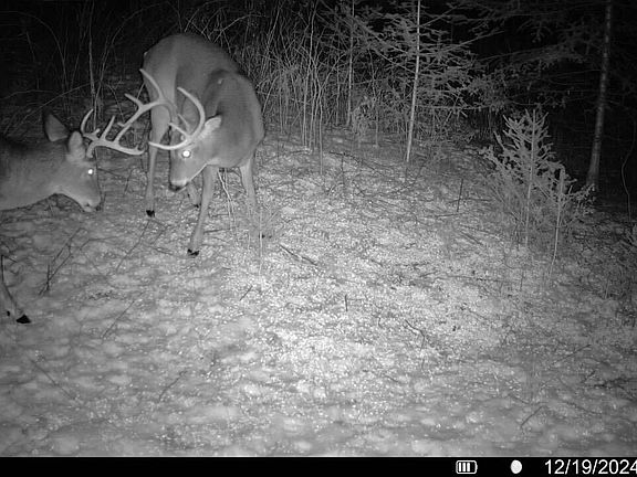 5th image of N3547 Cth D