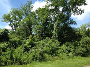 17015 Hamill Dr, Rosharon, TX 77583