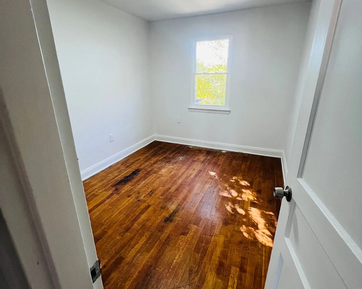 Newly renovated Arlington neighborhood apartment — Photo 1