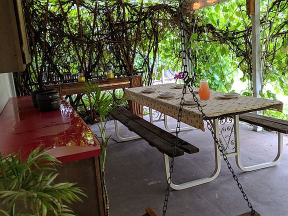 Patio surround by grapevines