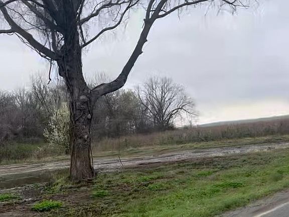 5th image of 14413 Upper Steel Bend Rd