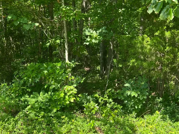 1111 Highway 3285, Monticello, KY 42633