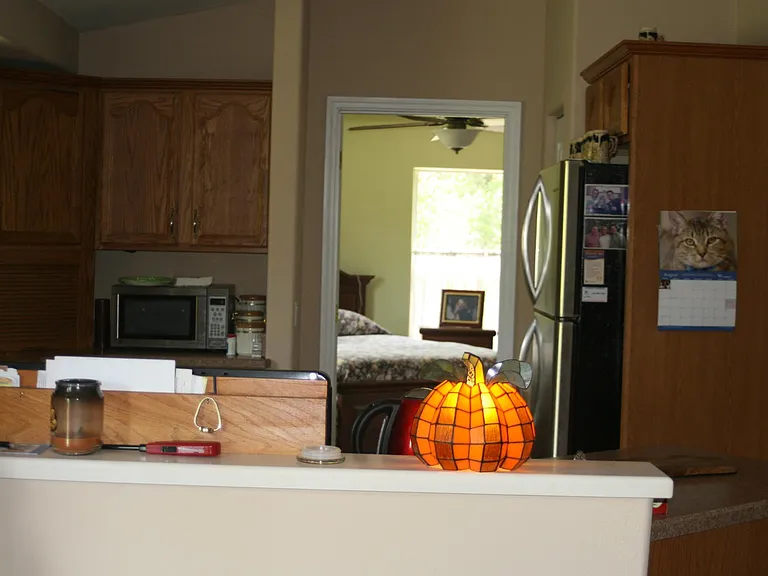 2958 Stag Ct — Photo 11
