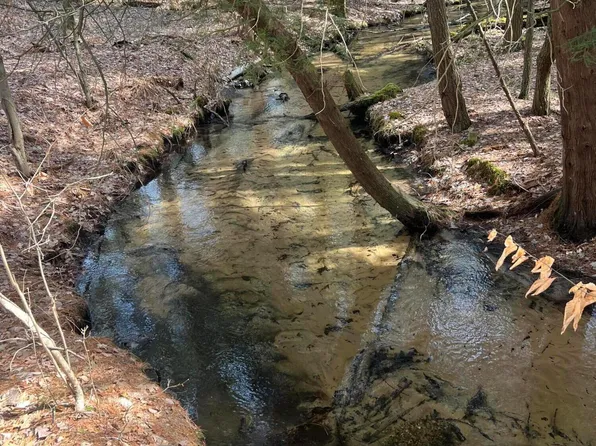 1373 N Apple Dr, White Cloud, MI 49349