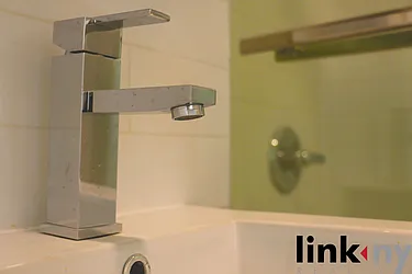 Rented by Link NY Realty