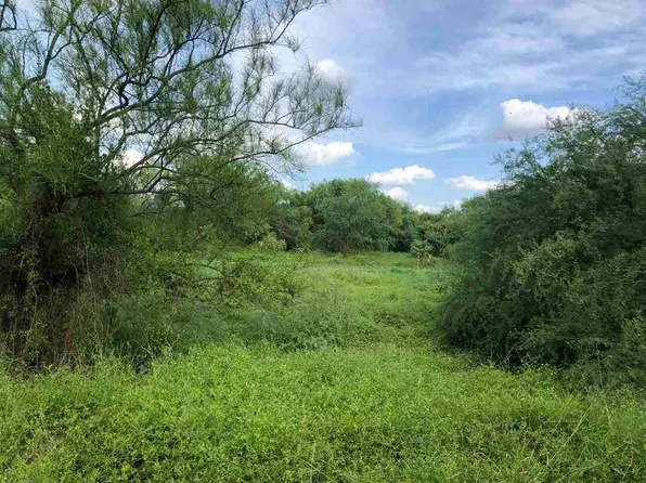 White Tail Ln, Encinal, TX 78019