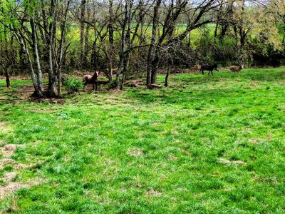 0 Mill St, Pulaski, TN, 38478