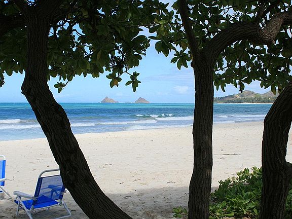 This is at the end of your beach access path.