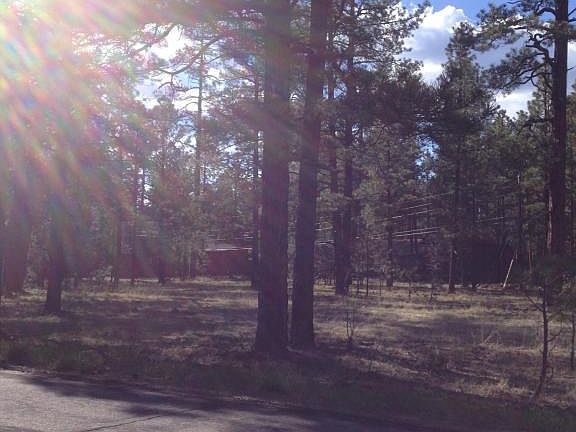 3rd image of 7020 Tall Pine Dr