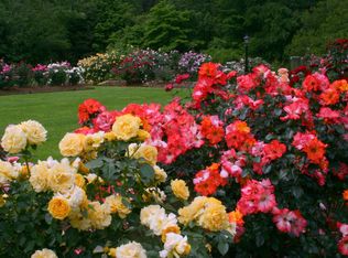 18 Long Meadow Ln, Columbia, SC 29223