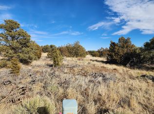 Buffalo Dr S #31, Walsenburg, CO 81089