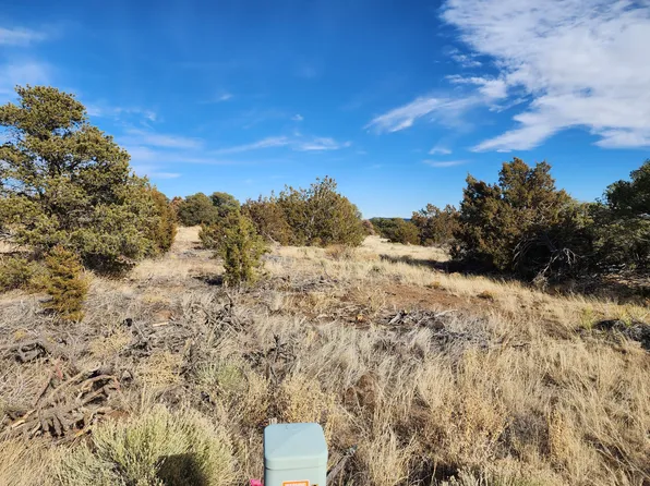 Buffalo Dr S #31, Walsenburg, CO 81089