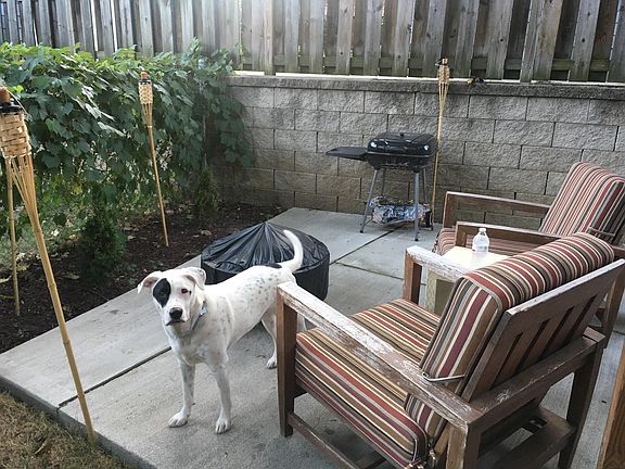5th image of 406 Wilder Pl #1