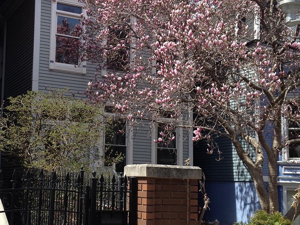 1st image of 2662 N Burling St #2