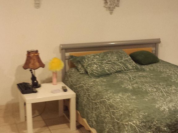 4th image of 8632 Bay 16th St APT 6