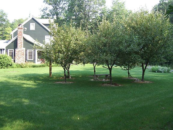 Exterior_Yard