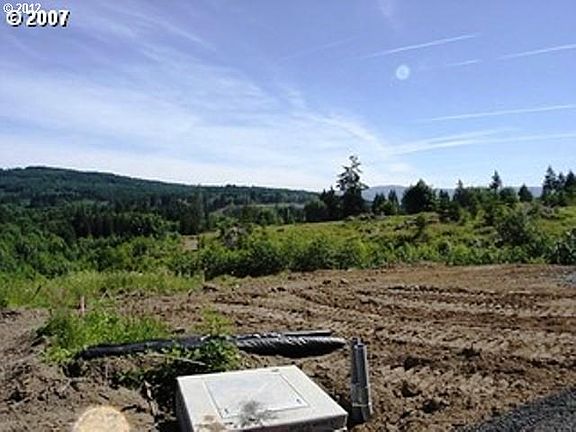 4th image of Big Buck Dr