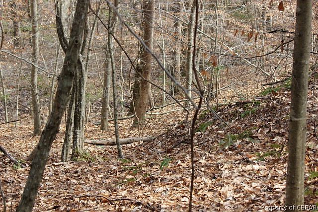 2nd image of LOT 7 Deerwood Ct Lot 7