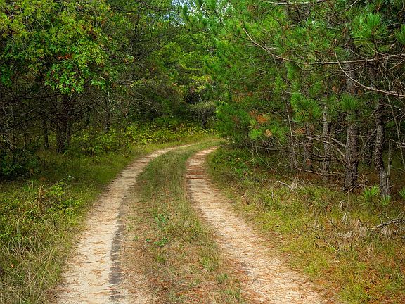 3rd image of 4393/AC Horse Creek Rd