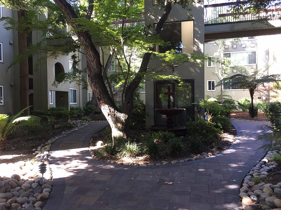 Courtyard. Unit windows can be seen on the left side in the back.