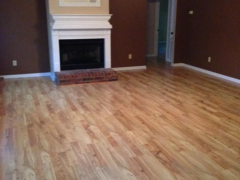 341 Plum Hollow Blvd — Photo 9