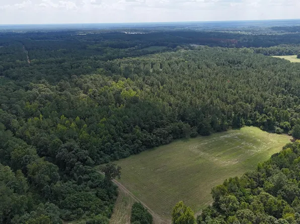 286 Shrike Rd, St Matthews, SC 29135