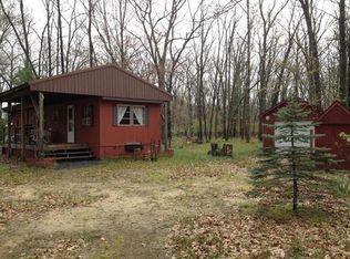 10704 N Shady Ln, Irons, MI 49644