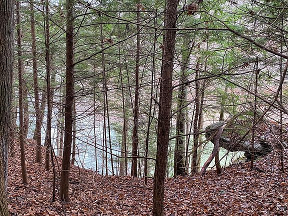 5th image of 14 Blue Creek Estates Tract