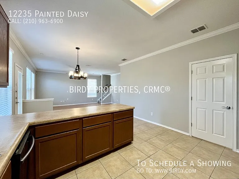 12235 Painted Daisy — Photo 19