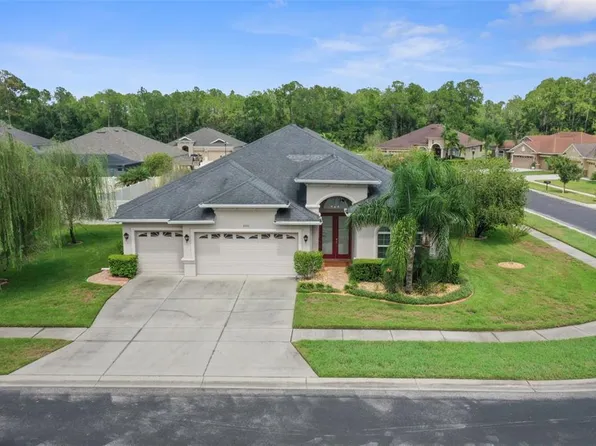 27211 Hawks Nest Cir, Wesley Chapel, FL 33544