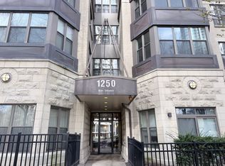 1250 S Indiana Ave APT 509, Chicago, IL 60605